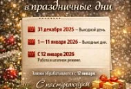 Режим работы в новогодние праздничные дни Режим работы в новогодние праздничные дни