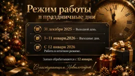 Режим работы в новогодние праздничные дни