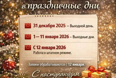 Режим работы в новогодние праздничные дни